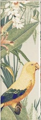 Tapis Jungle 10х30 Mainzu