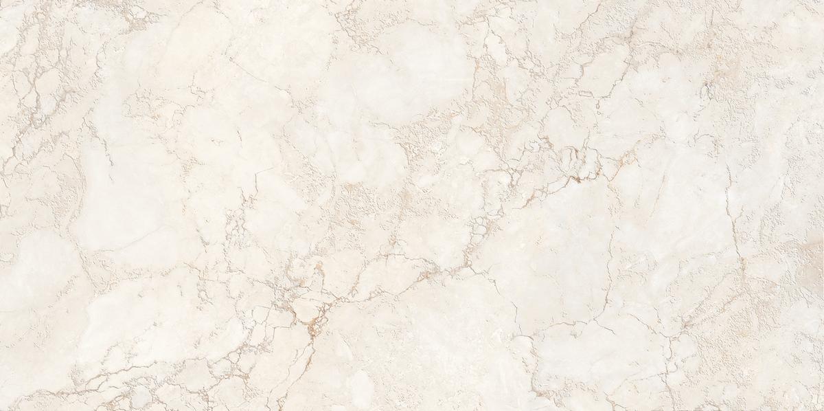 N120041 Трентино Аллюр Декор Матовая 60x120 Neodom фото 4