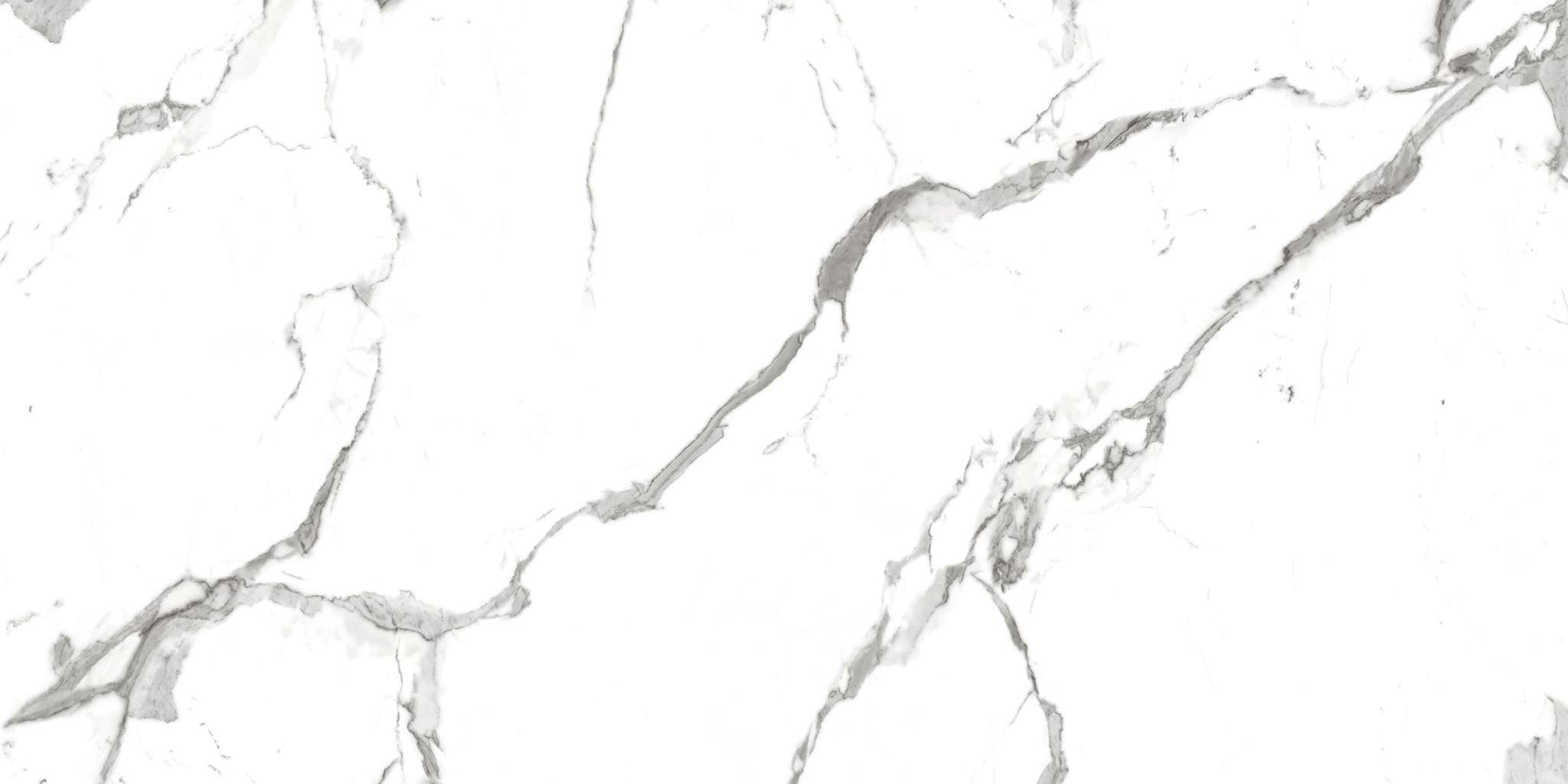 R_PR2001 Alps Statuario Polished 60x120 Royce