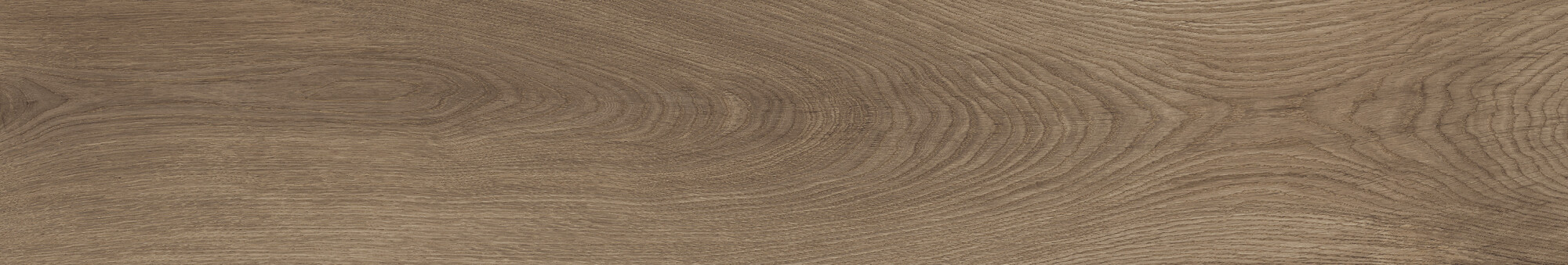41729 Bloom Cognac SP/24x151x0,9/R 24x151 Peronda