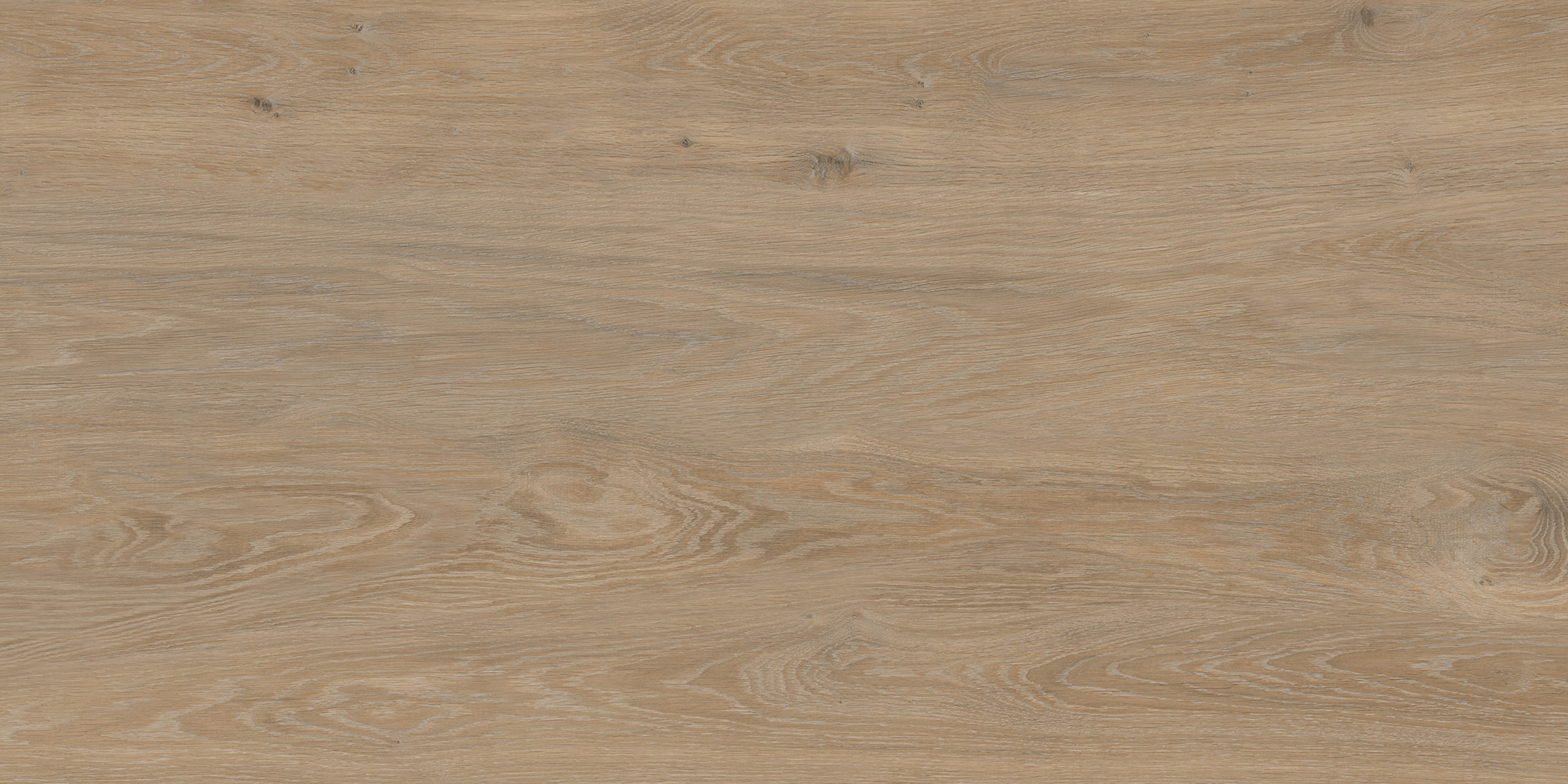 FO0L69M01 Forest Oak 60x120 Duna фото 5