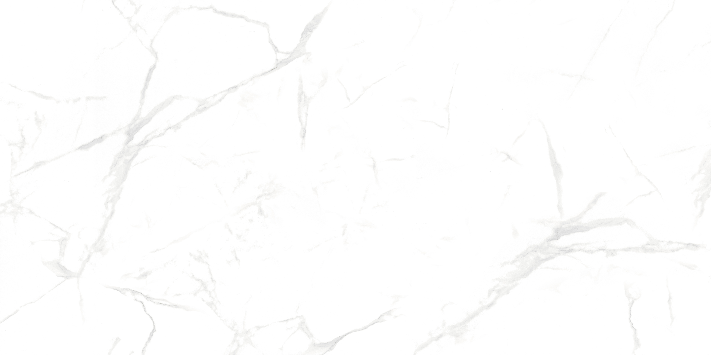 NTT99607M Callacata carving 60x120 NT Ceramic