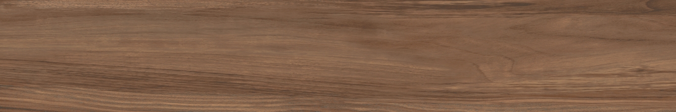 Boutonne Cognac Pulido R 20x120 Baldocer