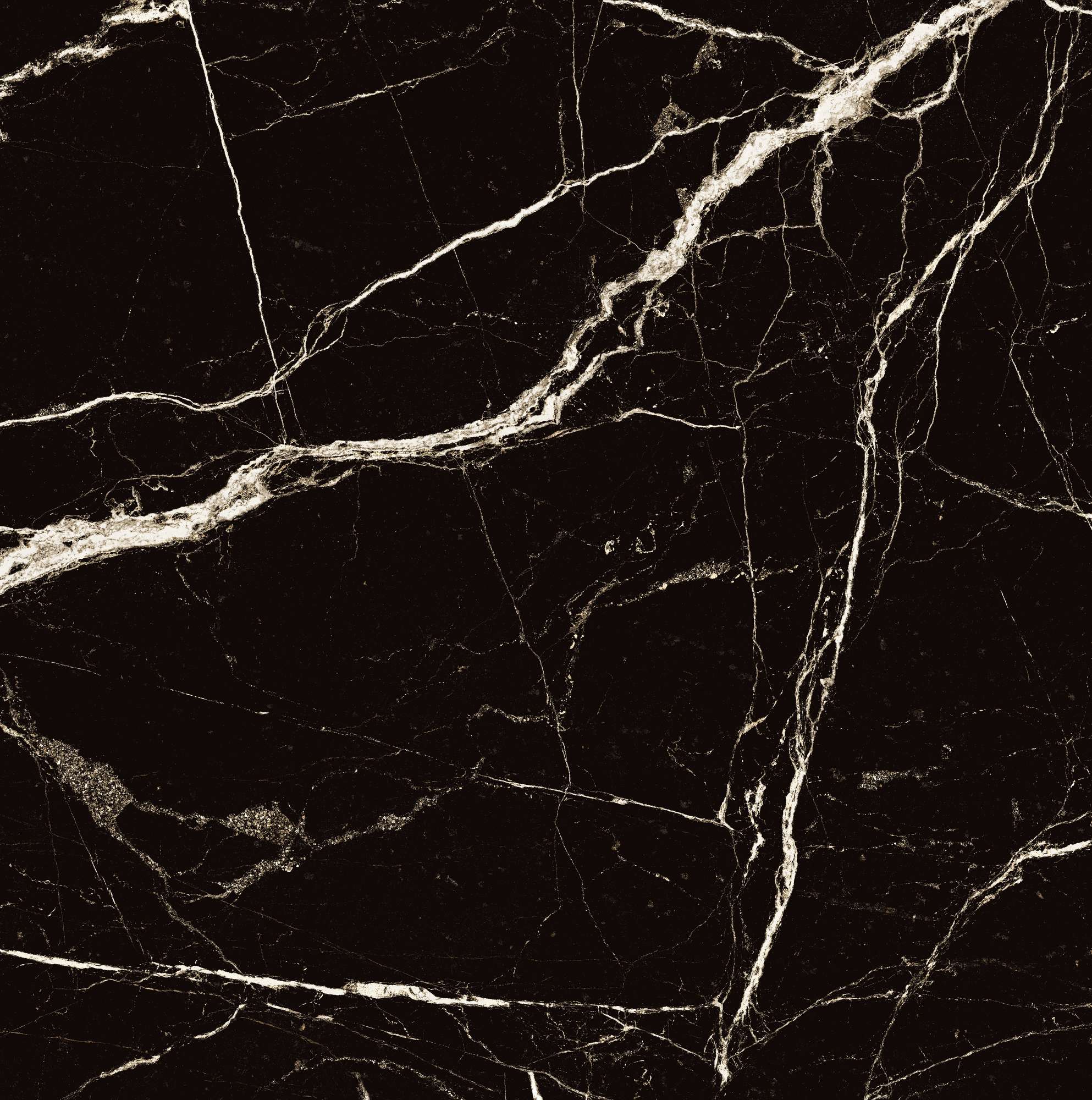 HG2008-A Black Spinder High Gloss 60x60 Arcadia Ceramica