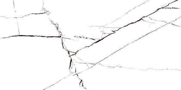 Elara White 30x60 Sina Tile