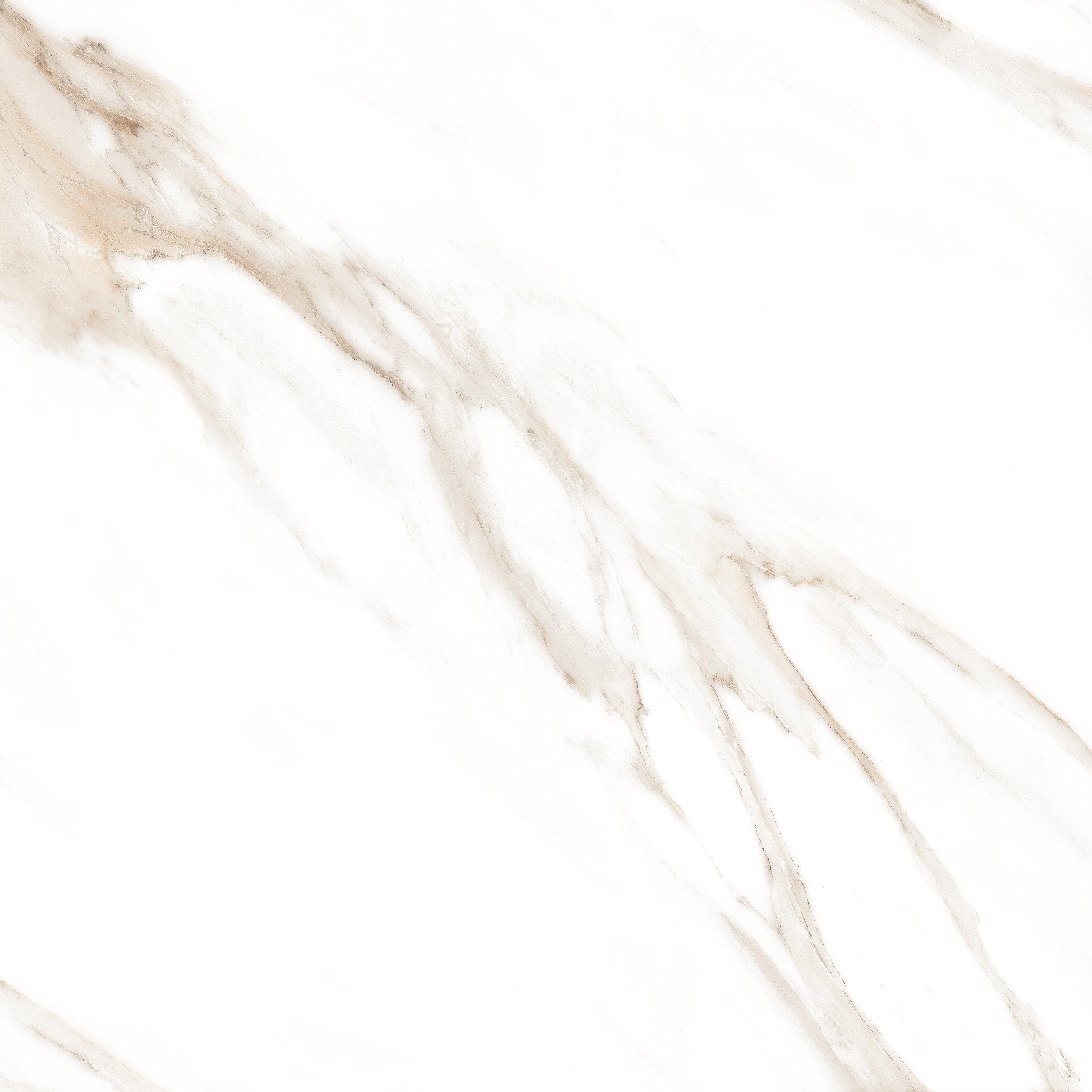 Statuario Brown Glossy 60x60 Modern Tile