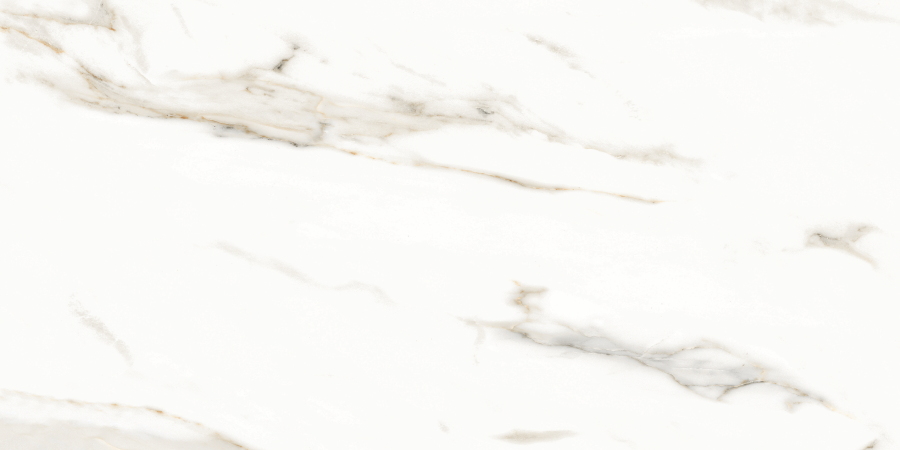 N12028 Marmol Carrara Polished 60x120 Neodom