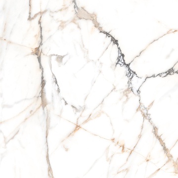 Eco Marble 6582 Polished 60x60 Alpas Euro