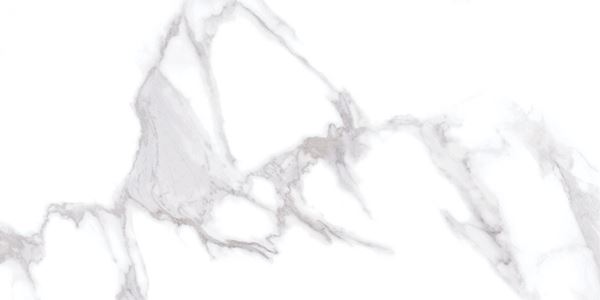 Calacatta Smoke 60x120 Gravita