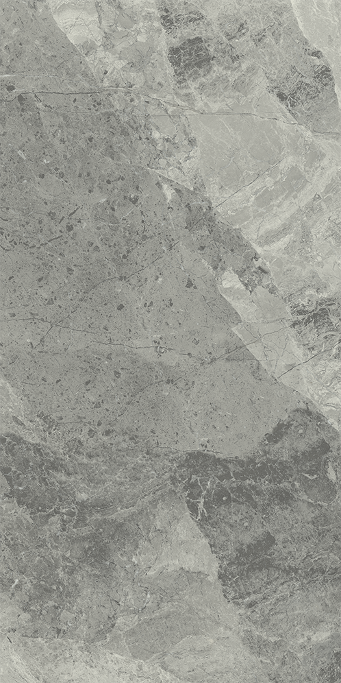 610015000358 Charme Extra Silver Nat Ret 30x60 Italon фото 3