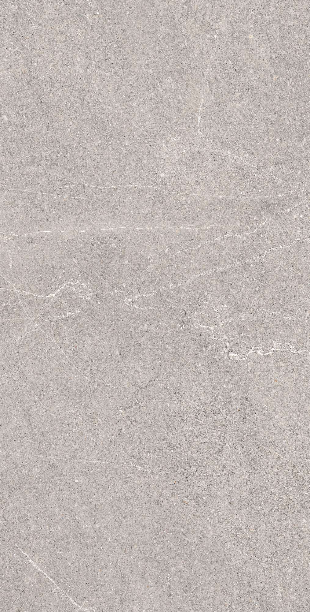 RG6001-A Equistone Gris Rotto Glossy Ink 60x120 Arcadia Ceramica