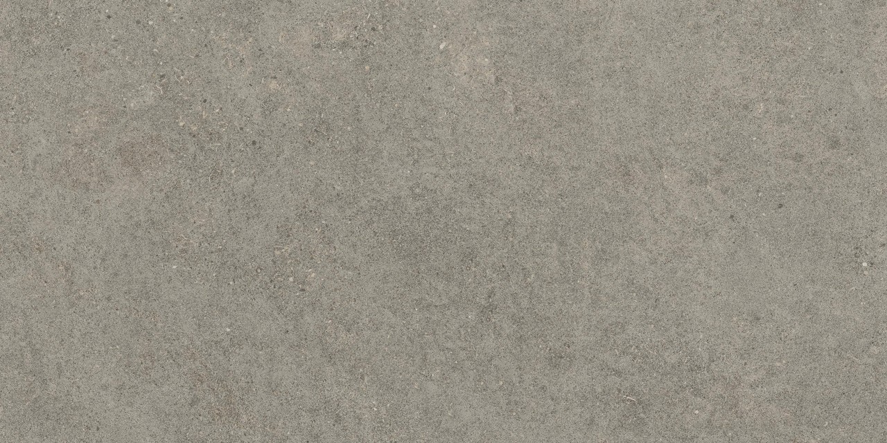 610010005821 Forte dei Marmi Rock Lunar Grey Matt Rett 60x120 Atlas Concorde Russia