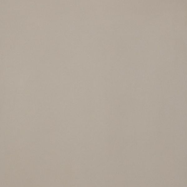 4950057 Architecture Beige Naturale 10,5 мм 60x60 Casalgrande Padana