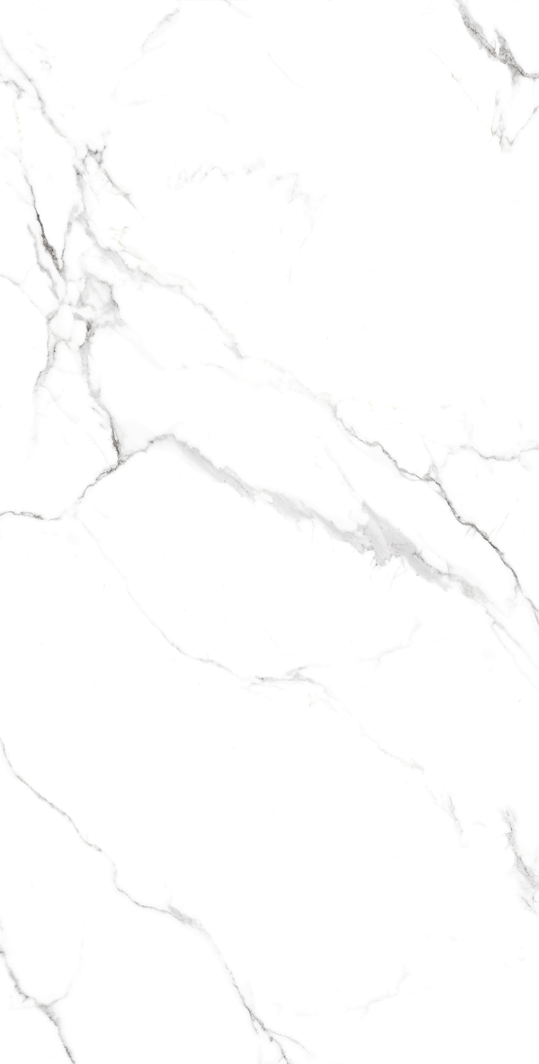 CP4005-A Statuario Fine Carving Pro 60x120 Creanza фото 4