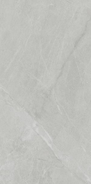PL612498 Gris De Savoie Lucidato 60x120 Ariostea