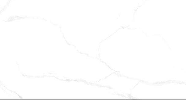 DST12001 Глянец 60x120 CSG