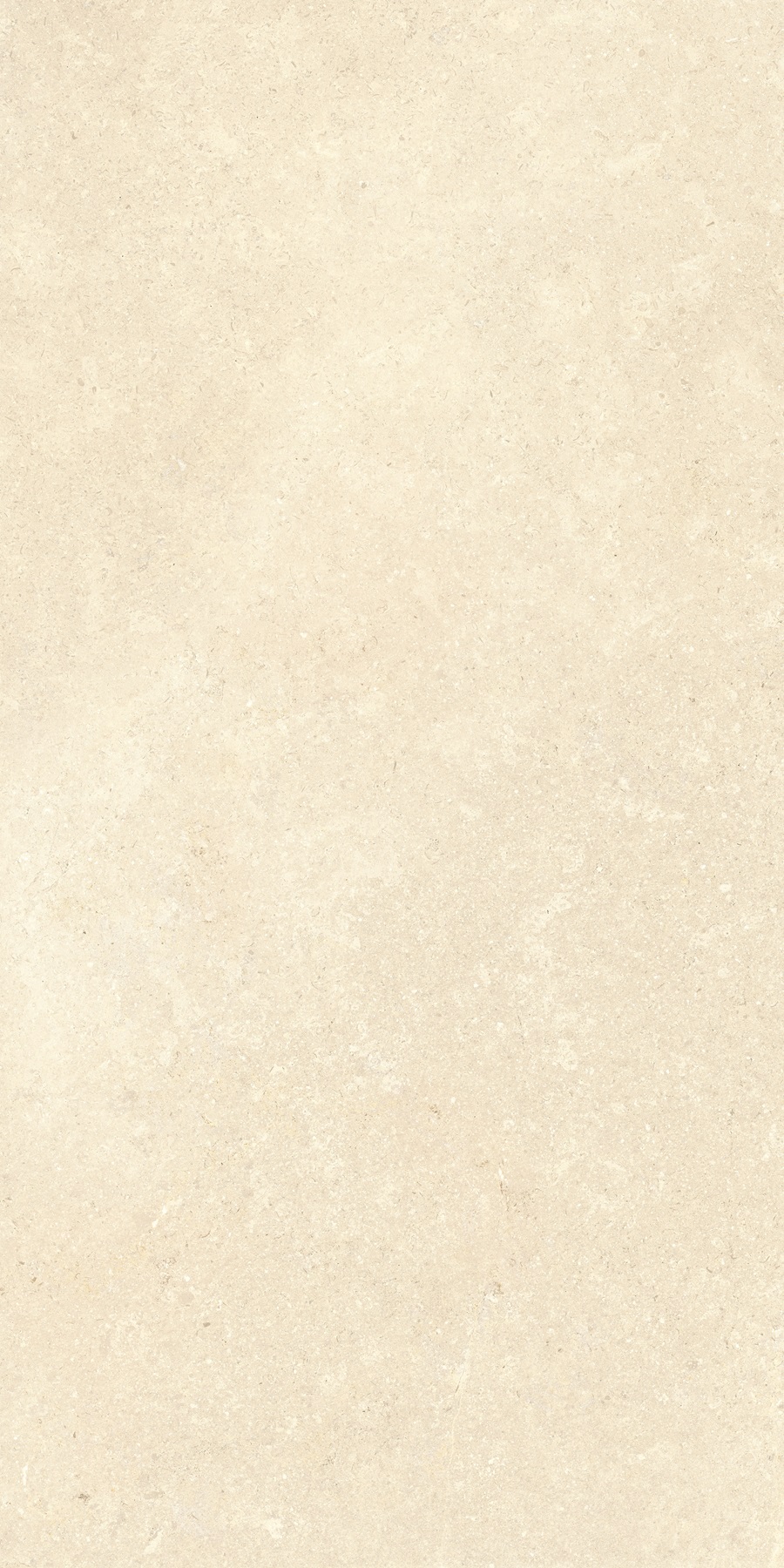 K948598R0001VTER SandStone Песочный Матовый R10A Ректификат 60х120 Vitra