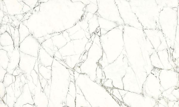 D692865BM White Carrara 60x90 Gani