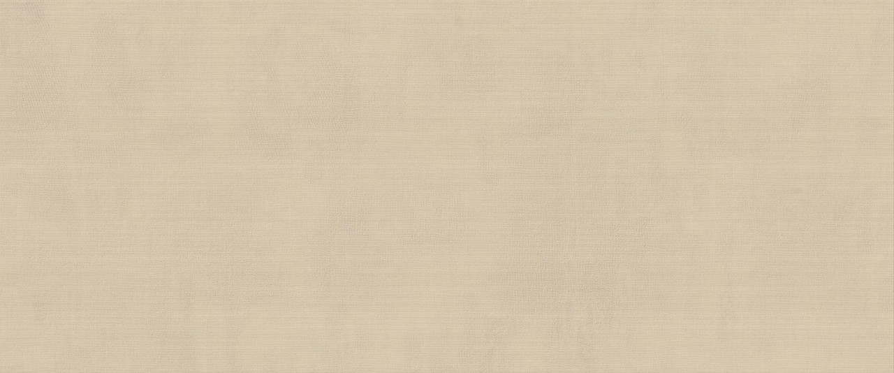 HCDR Vest Ecru Matt 50x120 Atlas Concorde фото 4