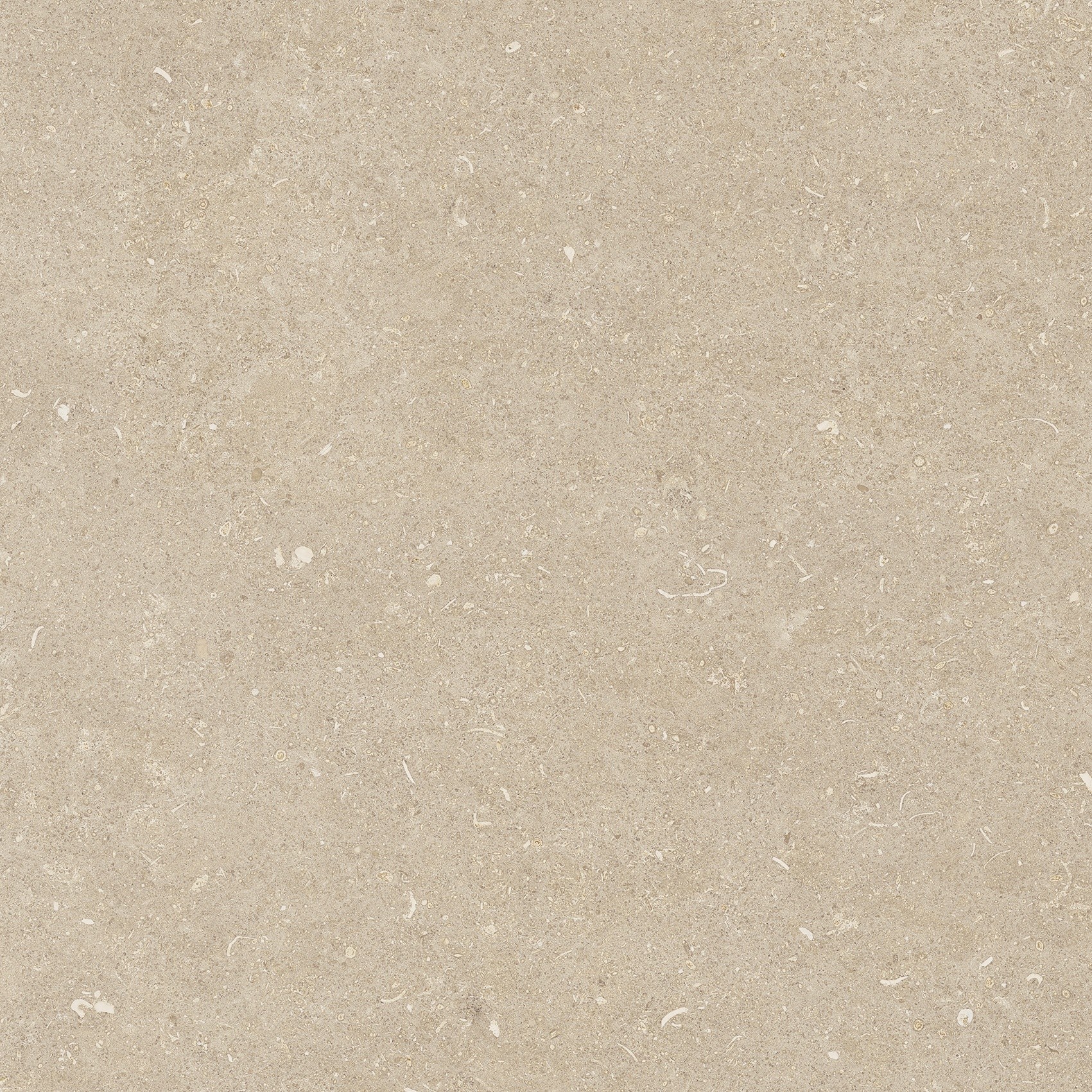 785485 Rinascenza Arena Conchiglia Matte 60x60 Casa Dolce Casa фото 4