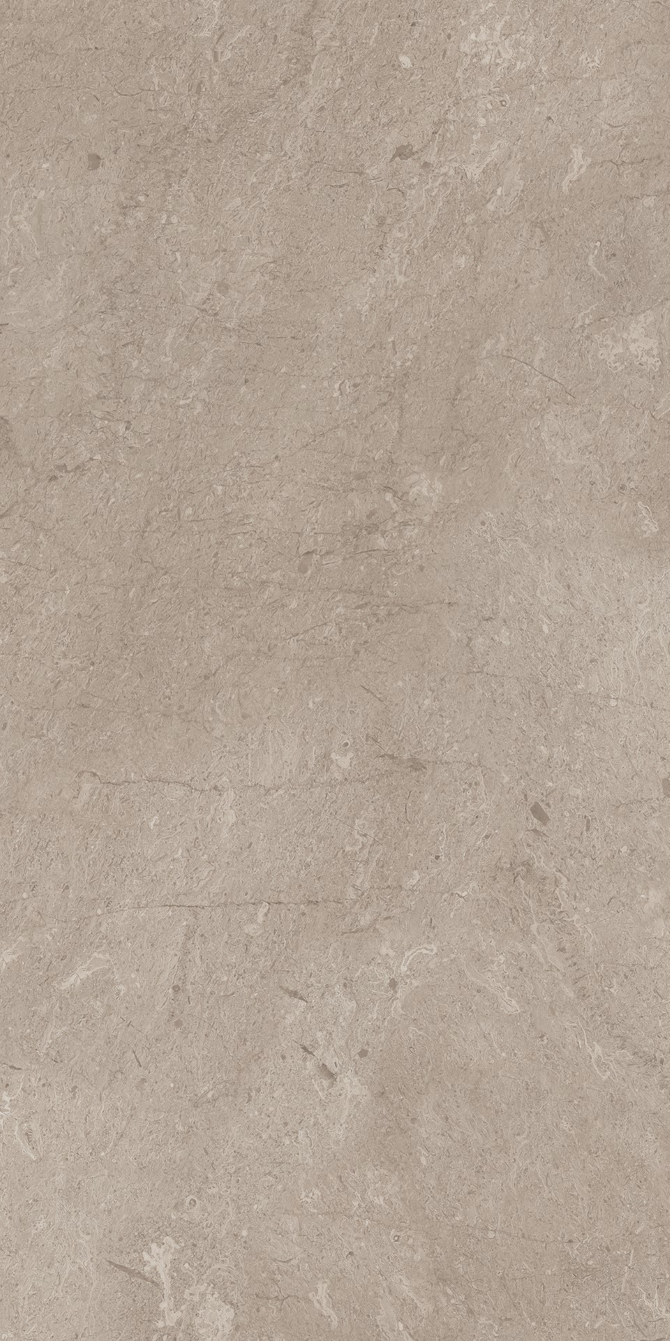 AEM02 Элемента Серый Неполированный Рект 60x120x9 Ametis by Estima фото 6