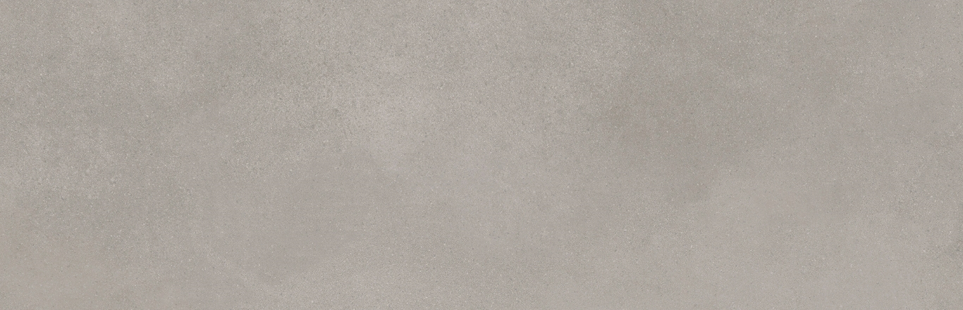 Mediterranea Gris R 31,5x100 Undefasa