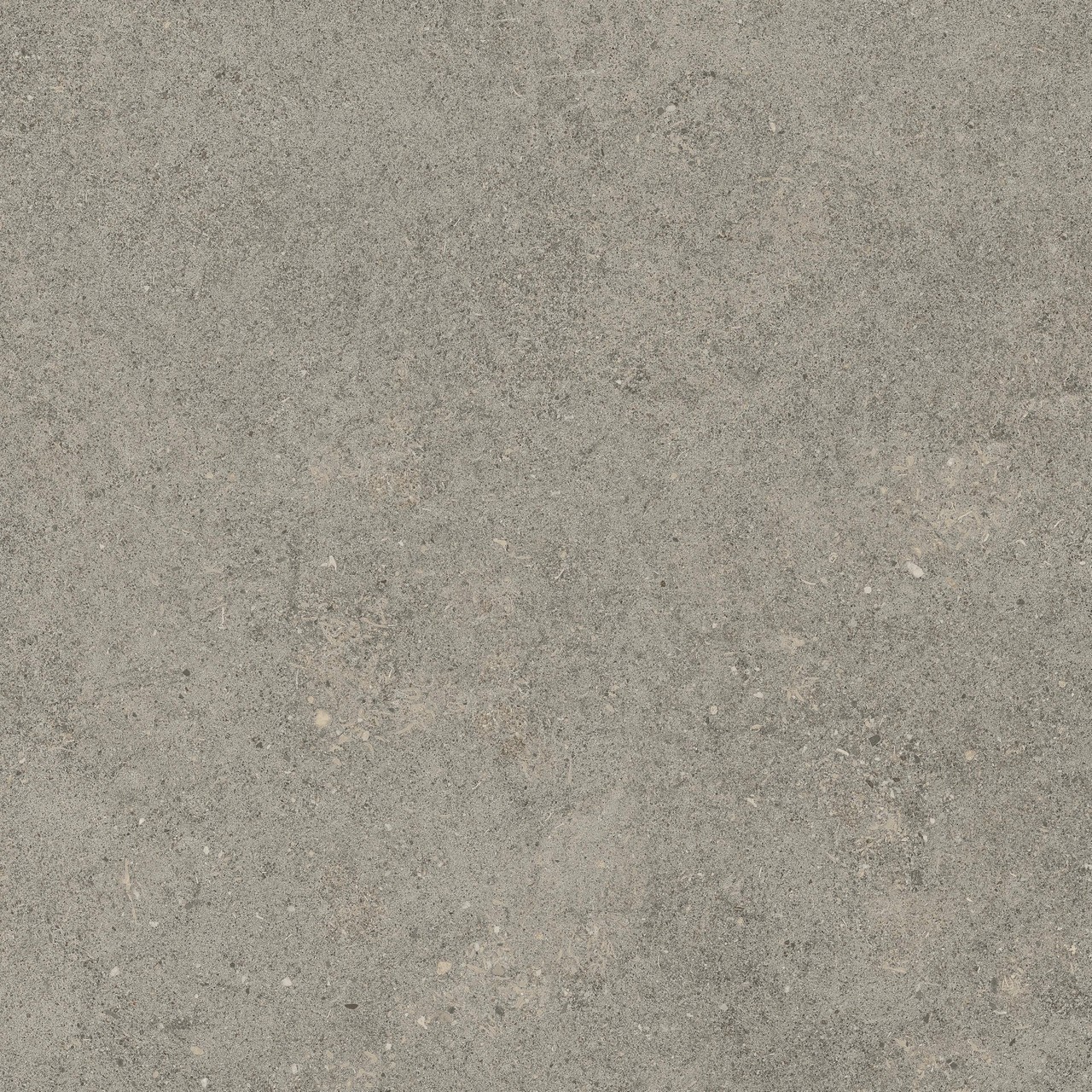 610010005836 Forte dei Marmi Rock Lunar Grey Lastra 20mm 60x60 Atlas Concorde Russia