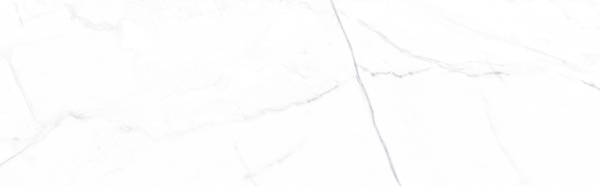 Vivid White Calacatta 29.75x99.55 Aparici
