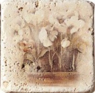 Inserto S3 Travertino 10x10 Serenissima Cir
