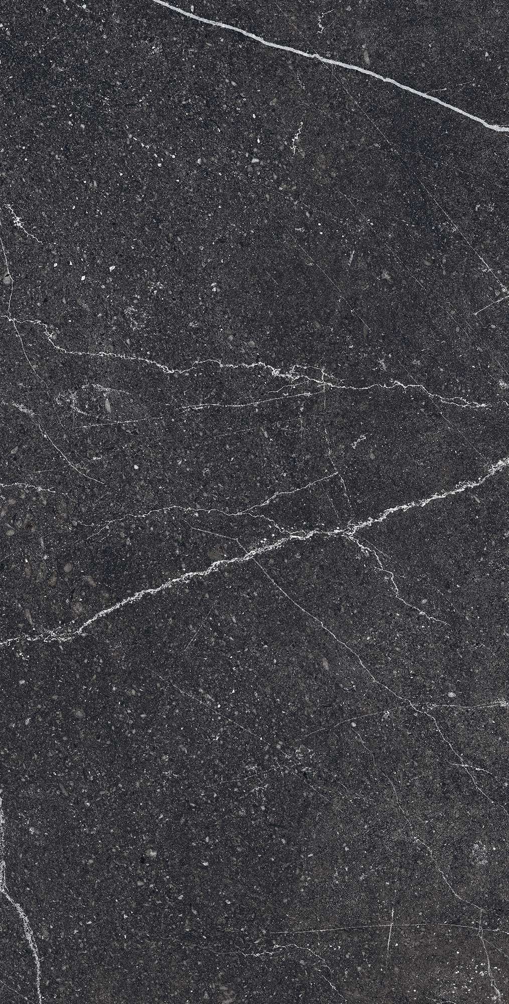 RG6003-A Equistone Charcoal Rotto Glossy Ink 60x120 Arcadia Ceramica