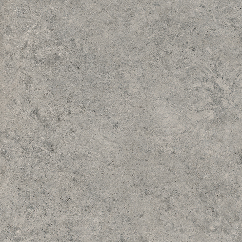 73524 Origini Gris Royal 80x80 Gardenia Orchidea (Versace)