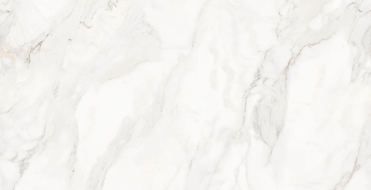 N9610T46 Damoon Gray Polished Rect 60х120 Novin Ceram Yazd Tile Co