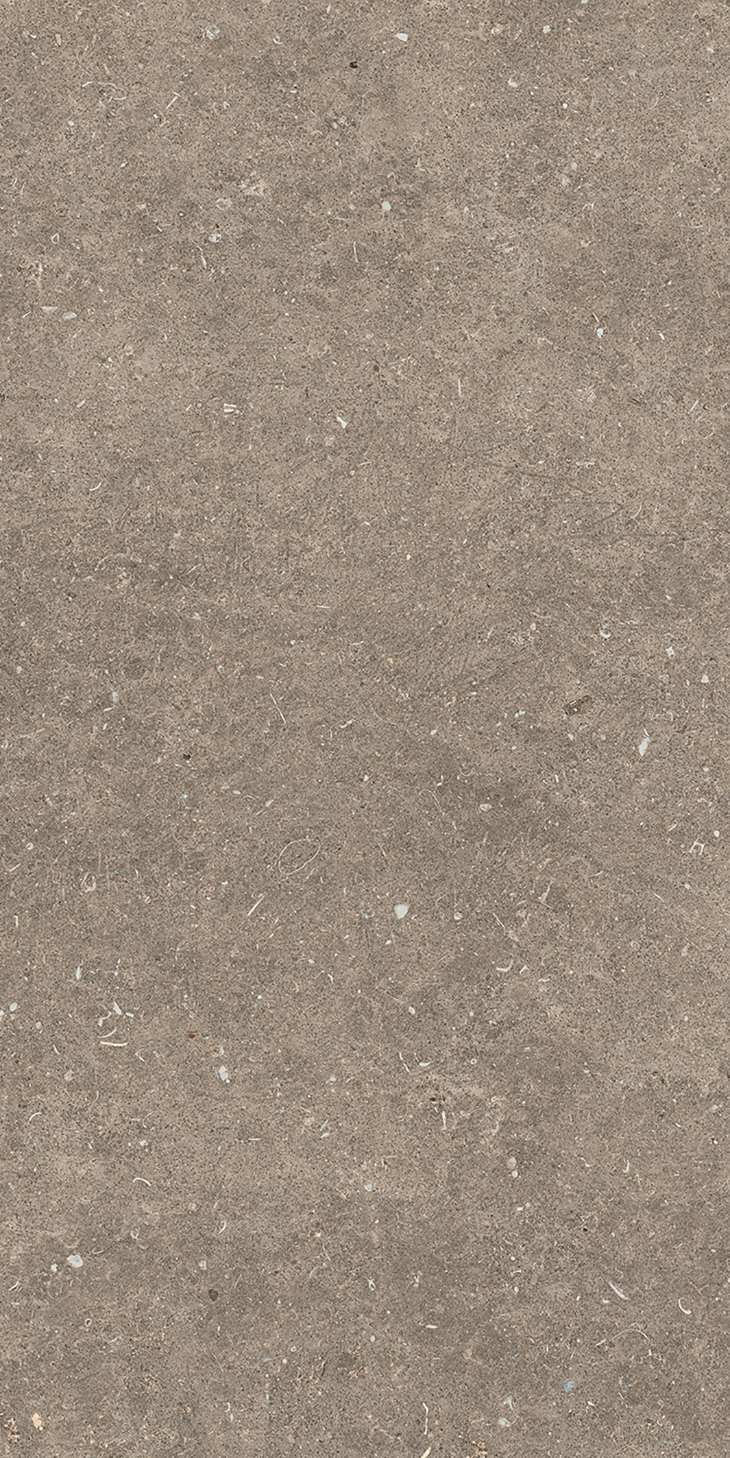 785576 Rinascenza Arena Pietra Matte 6mm 60x120 Casa Dolce Casa фото 9