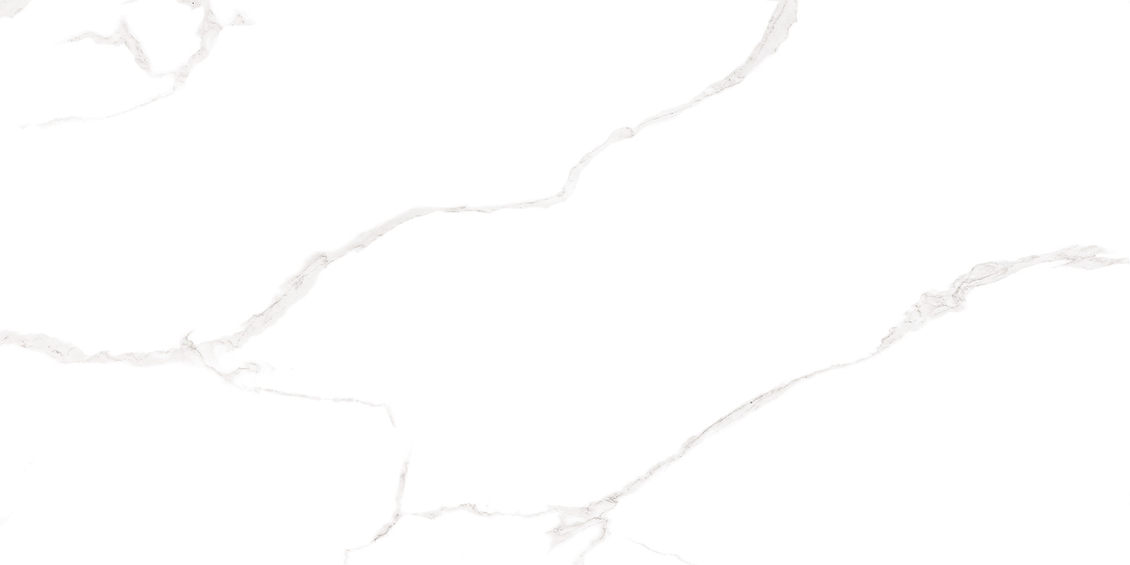 WT9ELT00 Elemento Bianco Carrara 250*500*9 AltaCera