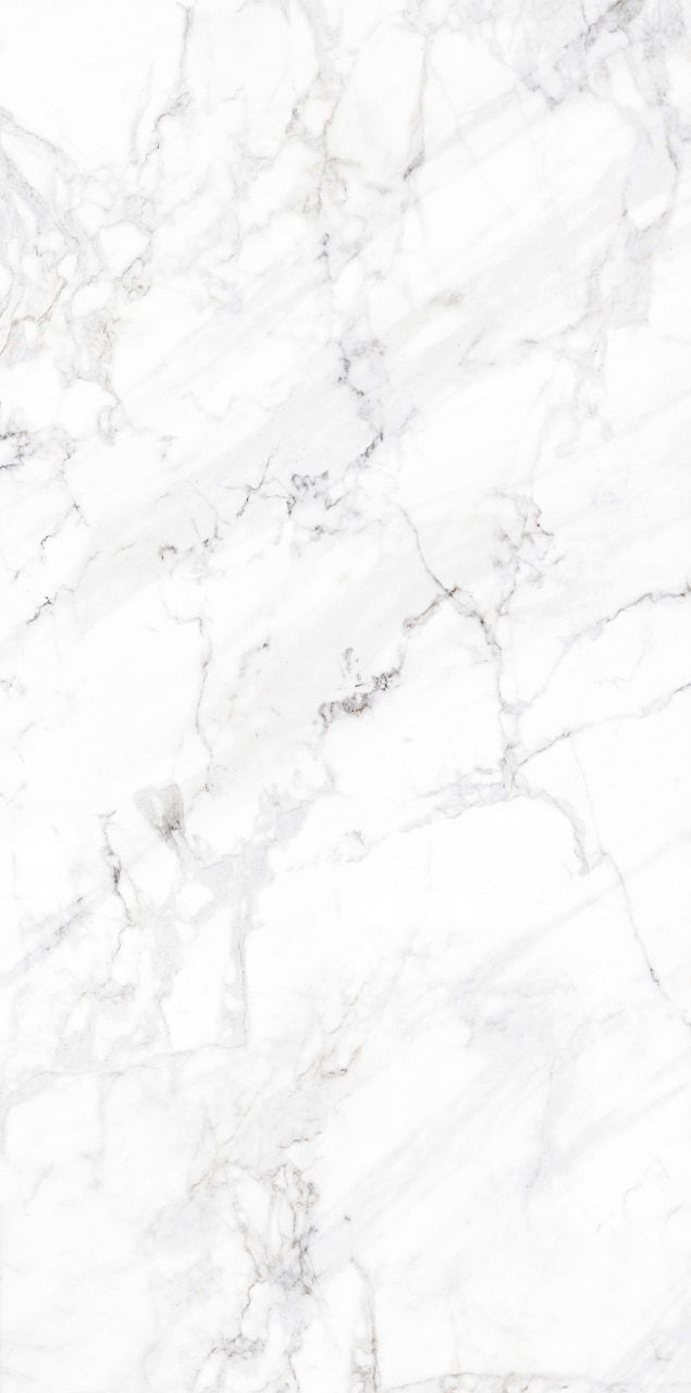NR0302 Calacatta M серый светлый 1200х600х9,5 ProGRES Ceramica