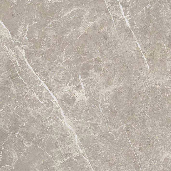 766956 Elemental Grey Dolomia Luc Ret 60x60 Cerim
