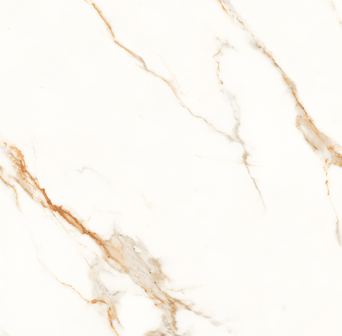Venato Calacatta Gold белый сатинированный 60х60 Laparet