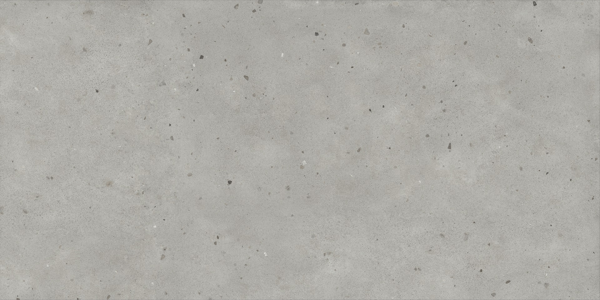 610010005699 Avantgarde Silver Ret 80x160 Italon
