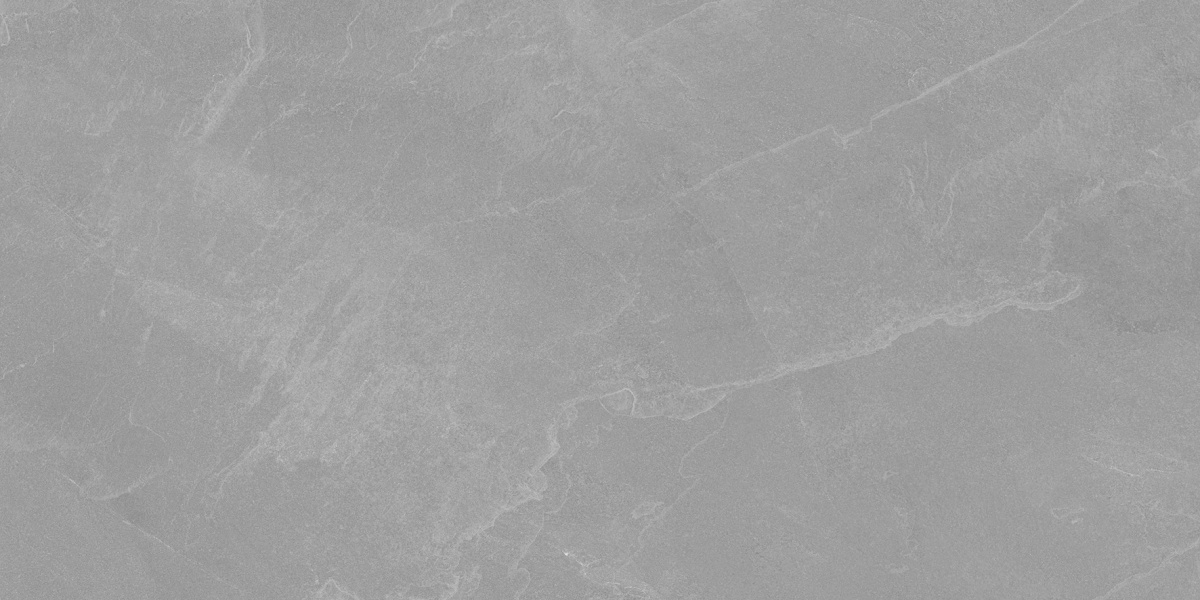 Archie Grey Pro серый матовый R10GR STR 60х120 Laparet