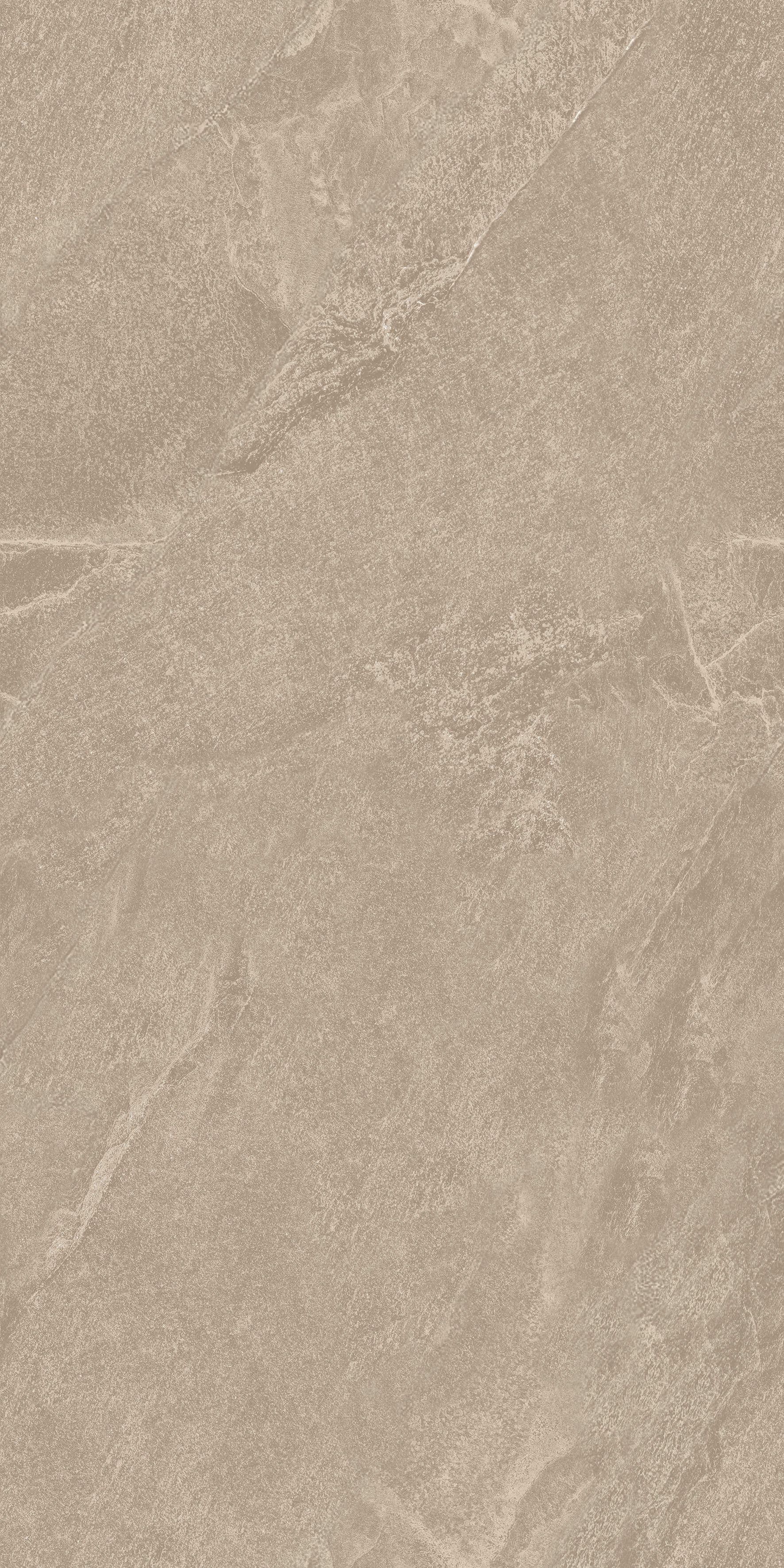 1210 Calcare Taupe Matt 120x60 Artcer фото 2