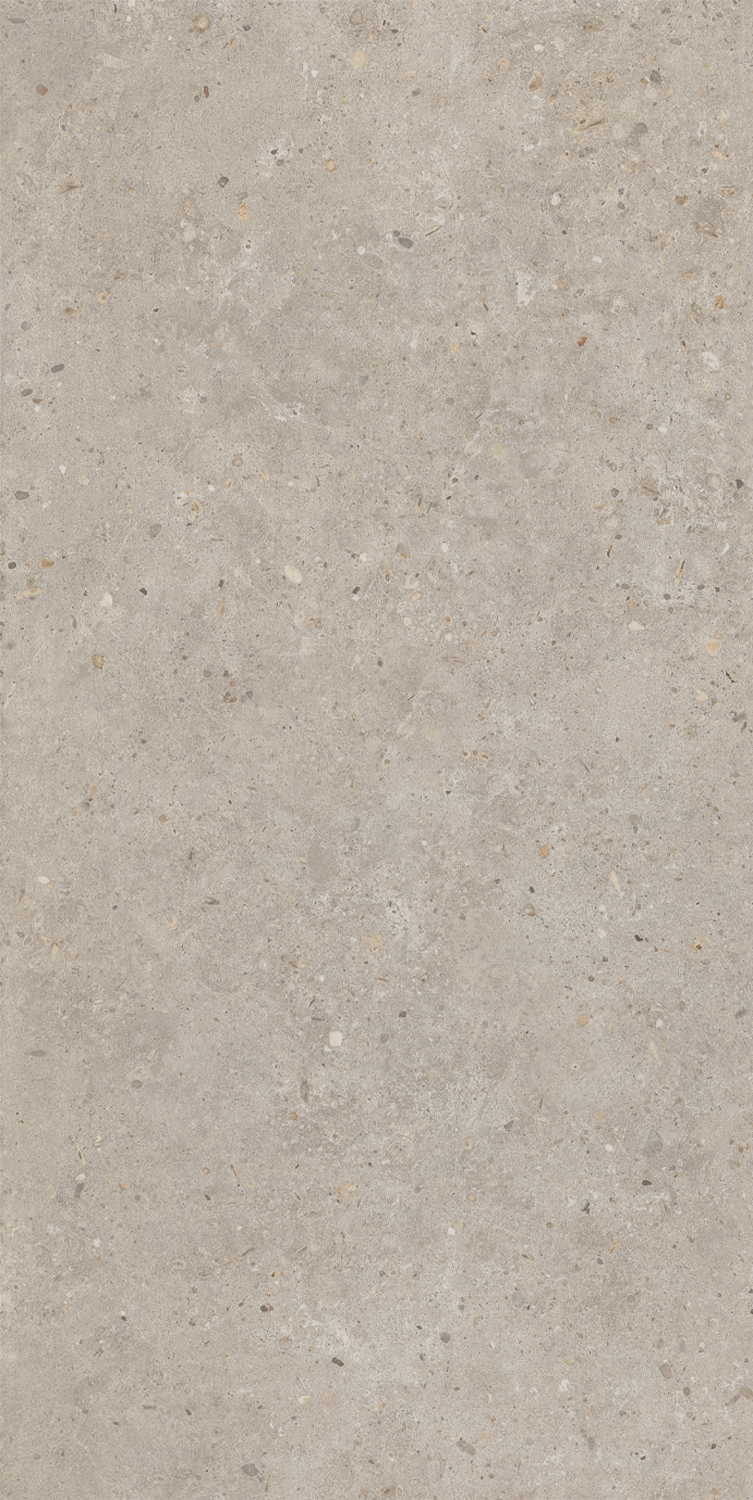 SG540620R Риккарди бежевый матовый обрезной 60х119,5 Kerama Marazzi