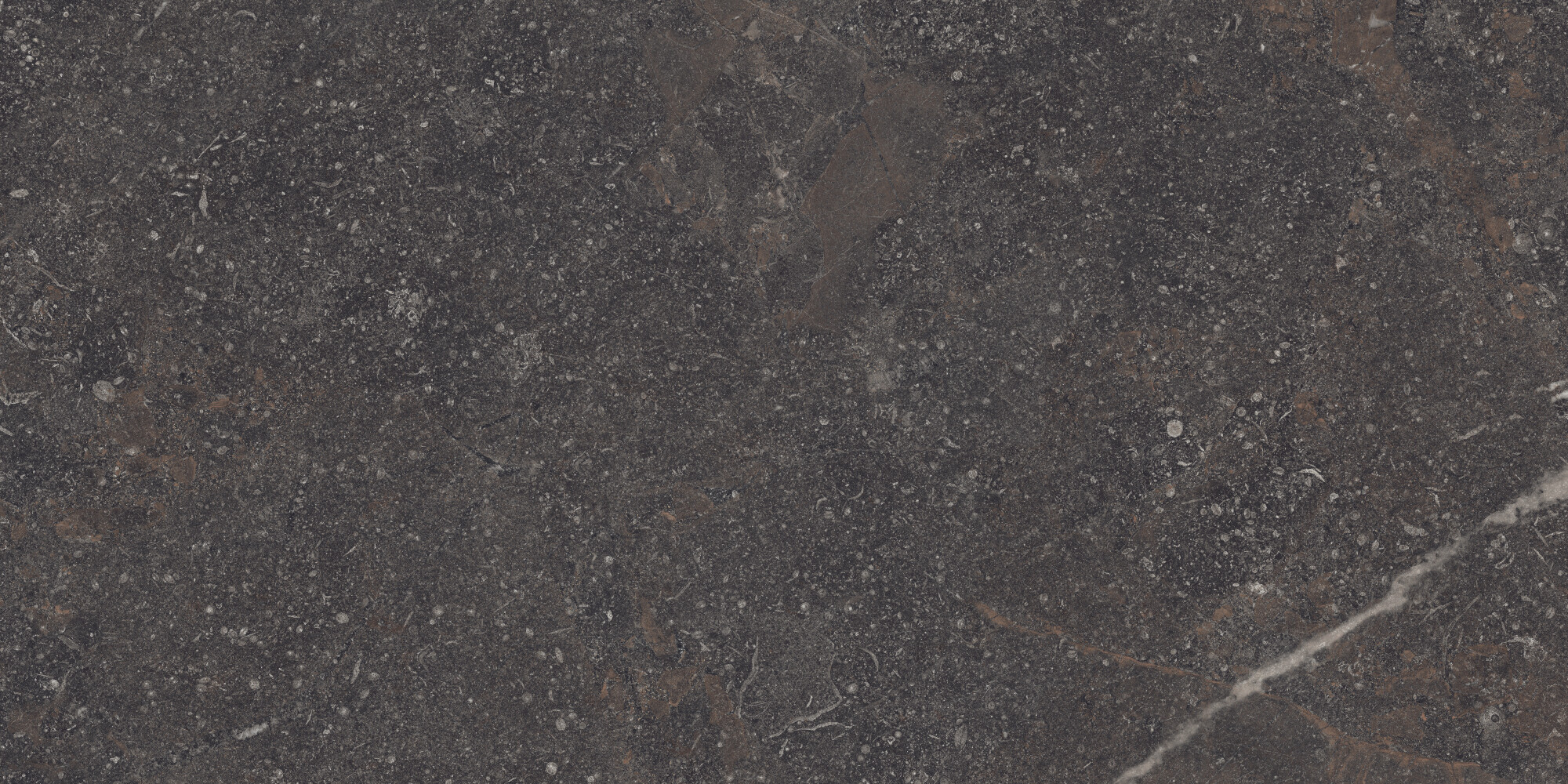 42792 Royal Brown SP/60X120X0,9/C/R 60x120 Peronda фото 14