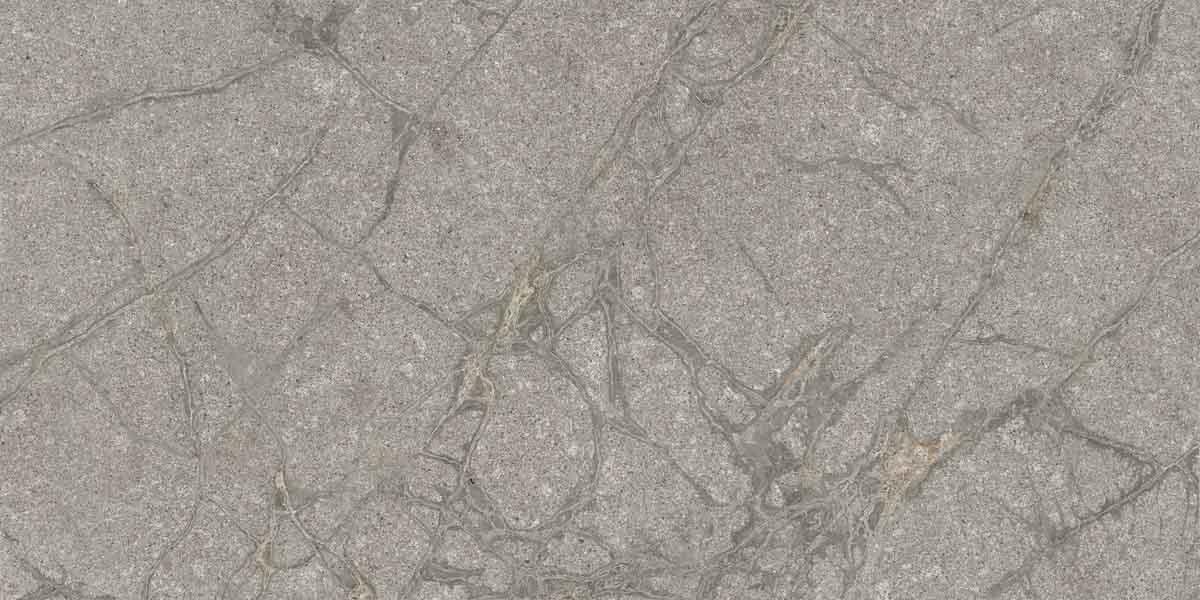 PF60011858 Supreme Memories Grey Soapstone Ant Ret 60x120 Flaviker