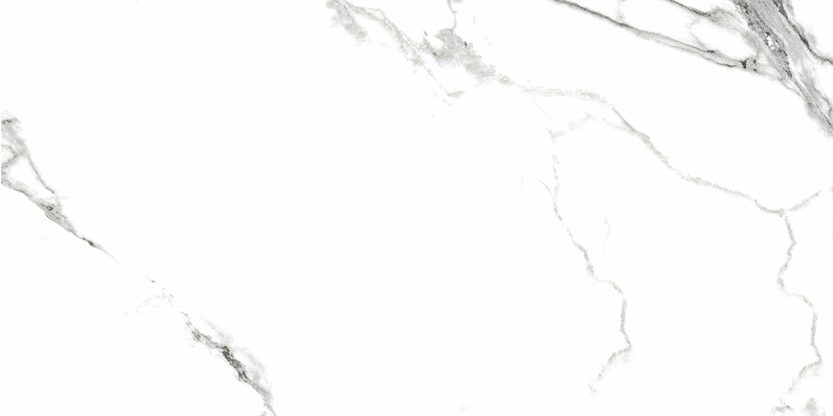 G390 Neiva White MR 60x120 Гранитея