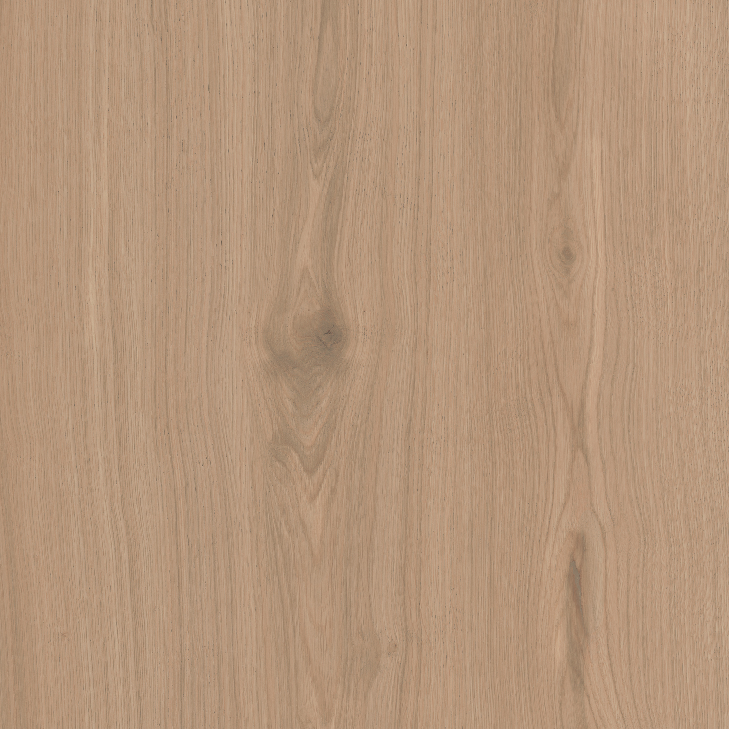 SG643620R Альберони бежевый матовый обрезной 60x60x0,9 Kerama Marazzi