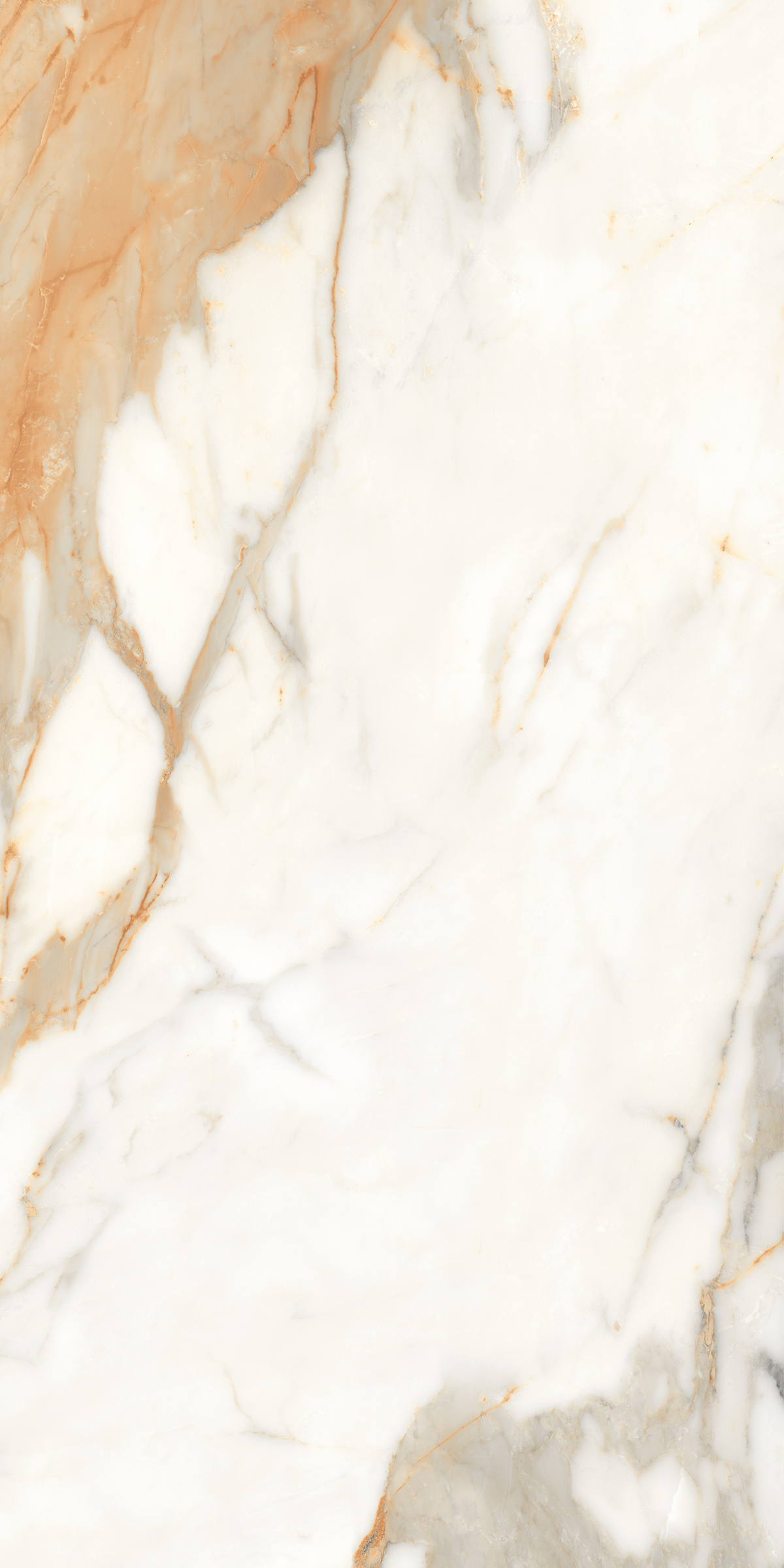 888 Calacatta Gold 120x60 Artcer