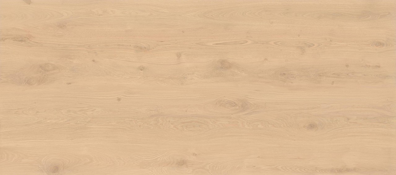 AX28 Log Bright Oak Matte 6mm 120x278 Atlas Concorde