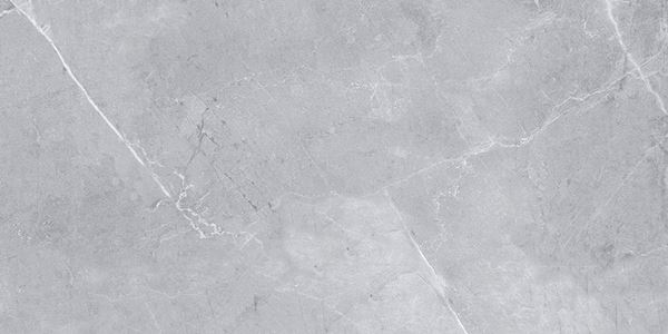 Amphora Light Grey 60x120 Gravita