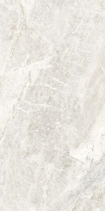 Reims Светло-серая 600x1200 AXIMA
