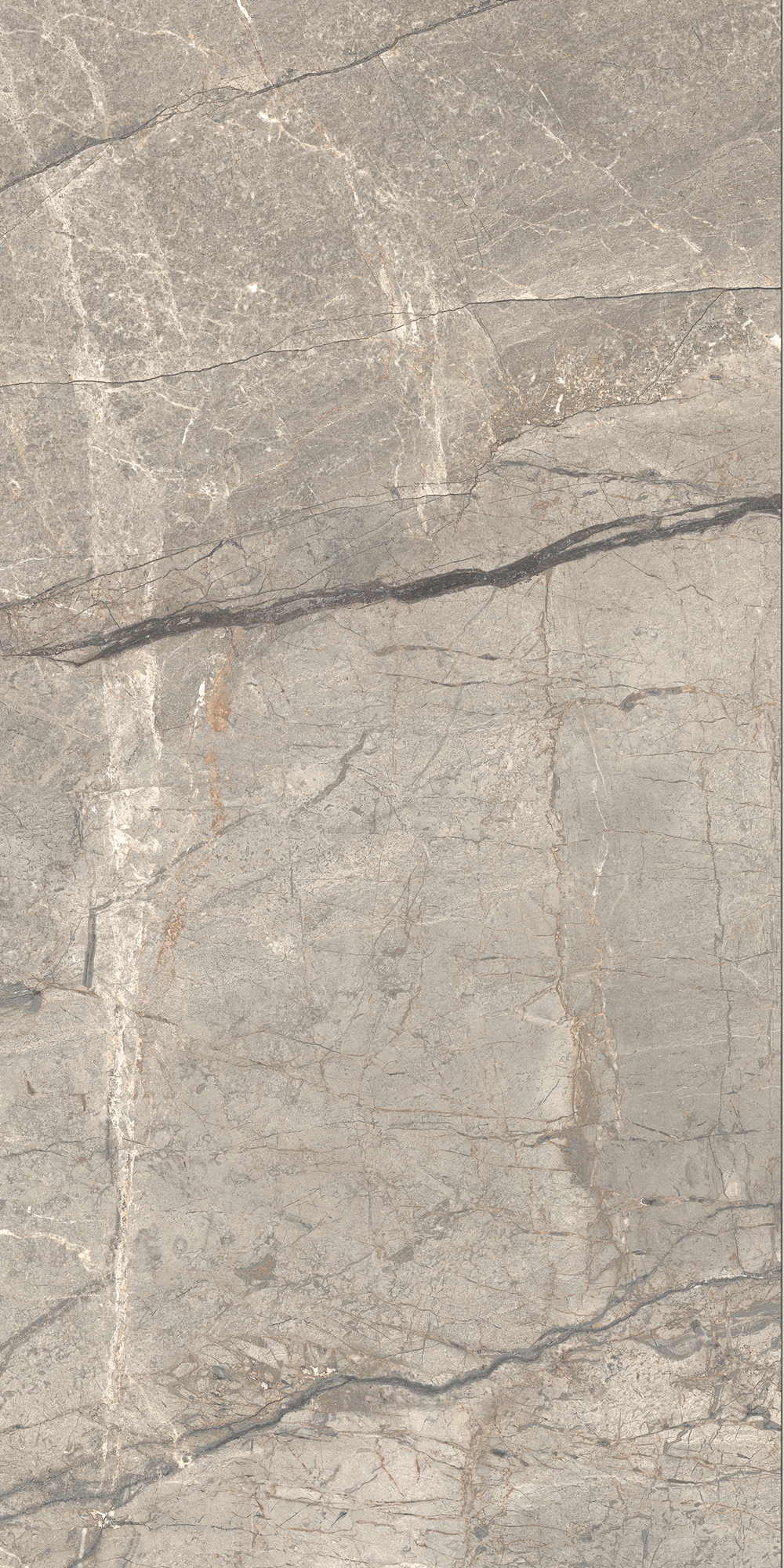 AIAV Amazing Silver Liscio Matt 60x120 Caesar фото 5